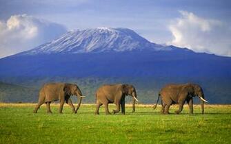 Mount Kilimanjaro Wallpaper X Net