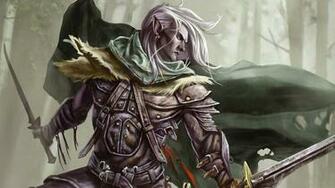 The Legend Of Drizzt Widescreen Wallpaper