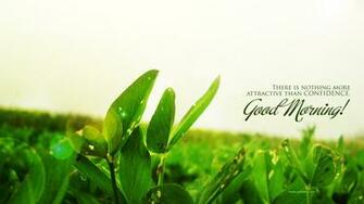 HD Good Morning Wallpaper For Your