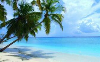 Maldives Beach Scenery Wallpaper