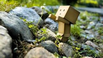 Danbo Dandellion Wallpaper Myspace Background