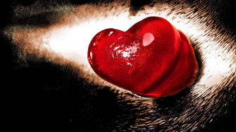 Heart Background Wallpaper