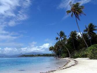 Tropical Island Wallpaper Stock Photos