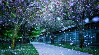 Winter Desktop Pics HD Wallpaper