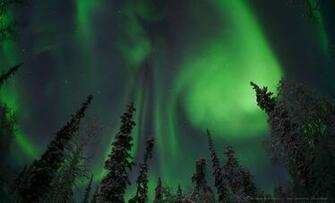 Webcam Brings Northern Lights To Living Rooms Everywhere Boing