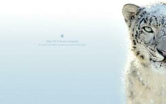 Snow Leopard By Jmcgrew
