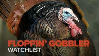Floppin Gobbler Myoutdoortv