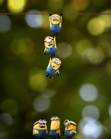 Eduardo On Wallpaper Minions Minion