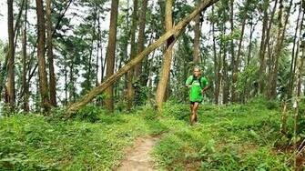 Ultra Running Wallpaper Trail And