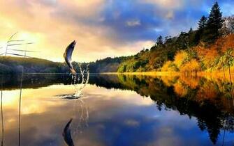 Pics Photos Fly Fishing Desktop Wallpaper
