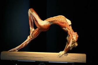 Pics Photos Paintings Body Painting Wallpaper Art Fantasy