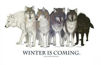 Game Of Thrones Winter Is Coming Direwolf Ghost House Stark