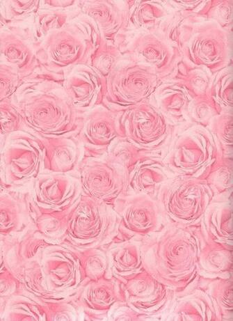 Rose Background On