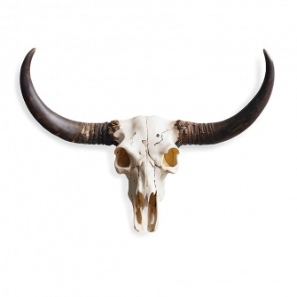 Bull Skull B Wallpaper