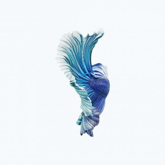 iPhone 6s Silver Blue Fish Wallpaper