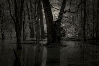 Creepy Background Wallpaper Image Pictures Design
