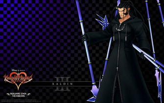 Final Kingdom Organization Xiii Wallpaper