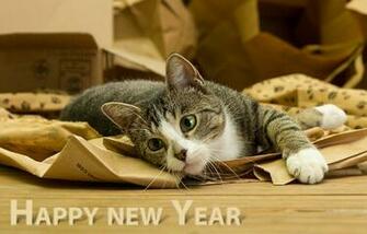 Happy New Year Cat Wallpaper By Hoschie