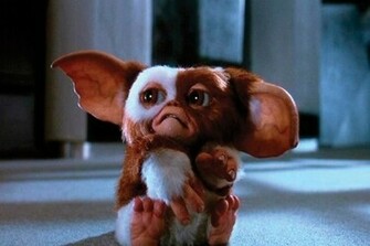 Gizmo Photo