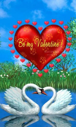 Day Love Swan Mobile Phone Wallpaper Image