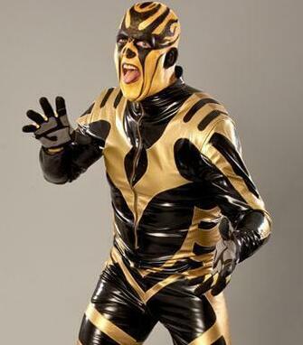 Goldust Image Wallpaper And Background Photos