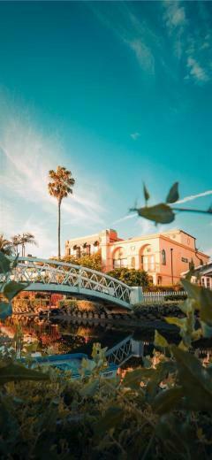 Venice In Wonderland iPhone X Wallpaper