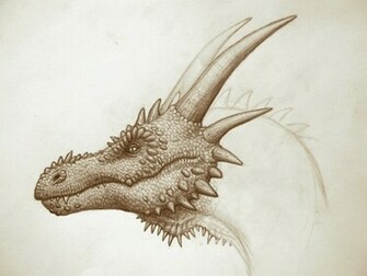 Cartoon Picture Dragon Head Wallpaper