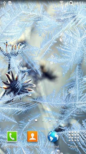 Frozen Flowers F R Android Kostenlos Herunterladen Live Wallpaper
