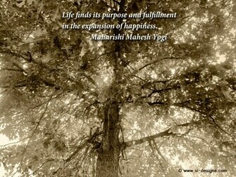 See More Happiness Quotes Wallpaper