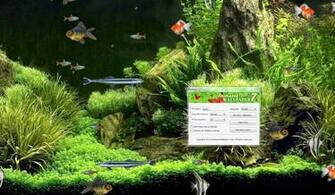 For High Definition Background HD Wallpaper