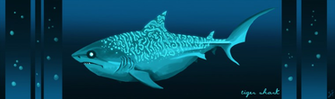Tiger Shark High Definition Widescreen Wallpaper