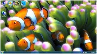 Clownfish Aquarium Live Wallpaper Image And Videos