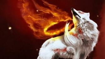 Fire Wolf Wallpaper