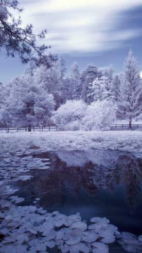 At Wallpaper For iPhone And iPad Android