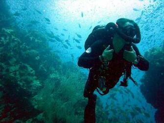 Scuba Diving HD Wallpaper