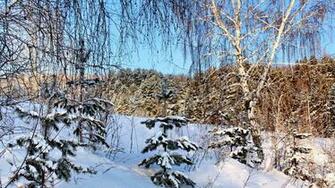 Snowy Field Wallpaper