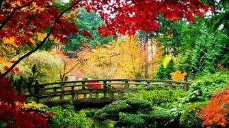 China Leaves Bridges Plants Rivers Branches Wallpaper Background