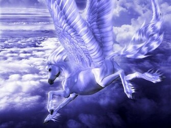 Beautiful Horse Computer Wallpaper Desktop Background