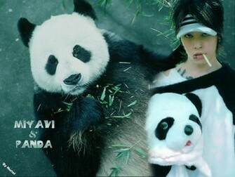 Miyavi Wallpaper