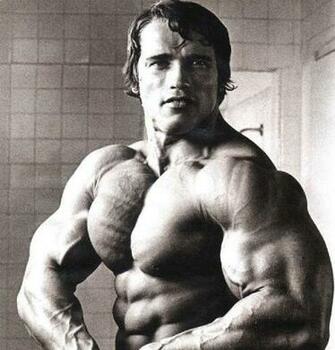 Arnold Schwarzenegger HD Wallpaper For You