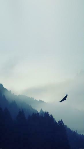 Wonderful iPhone 6s Plus Wallpaper Ultralinx