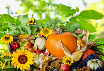 Thanksgiving Harvest Wallpaper