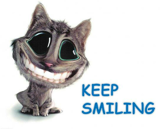 Funny And Weird Animals Cat Wallpaper