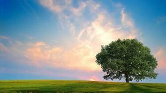 Cades Cove Great Smoky Mountains National Park Tennessee Wallpaper