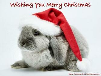 Christmas Bunny Wallpaper