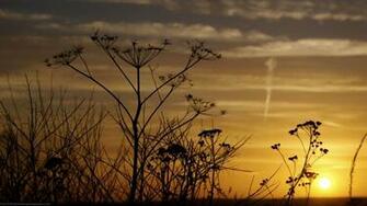 Nature Sunrise Or Sunset I No Desire You Know Tell Me New Xp