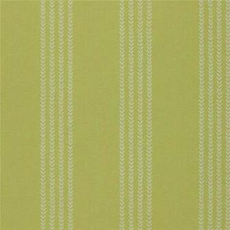 Olive Green Wallpaper HD Base