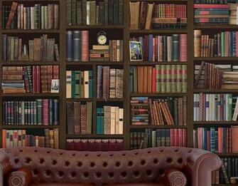 Bookcase Self Adhesive Wall Mural Contemporary Stickers