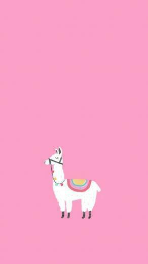 Llama Party Ideas