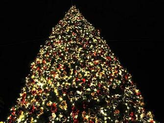 D Christmas Tree Wallpaper And Background